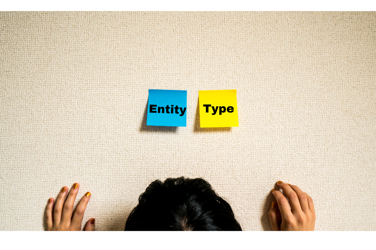 CHOOSE ENTITY TYPE visual data 3