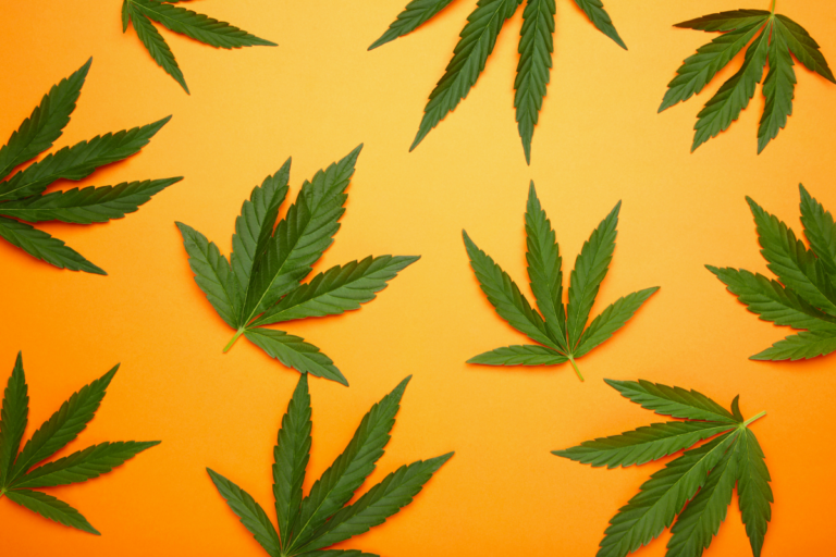 Is Cannabis Patentable